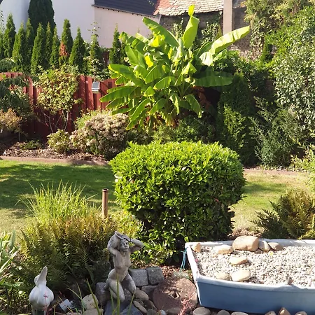 Gasper Business & Garden رونهيم
